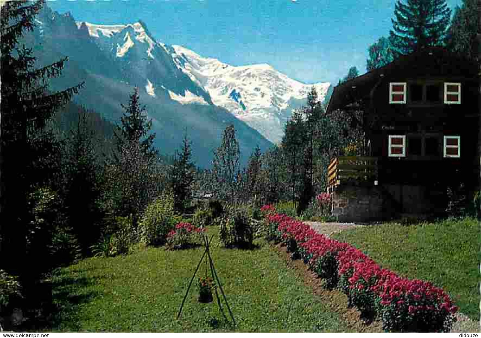 74 - Chamonix - Mont-Blanc - Chalet Montagnard Face à L'Aiguille Du Midi Et Au Massif Du Mont-Blanc - Flamme Postale - C - Chamonix-Mont-Blanc