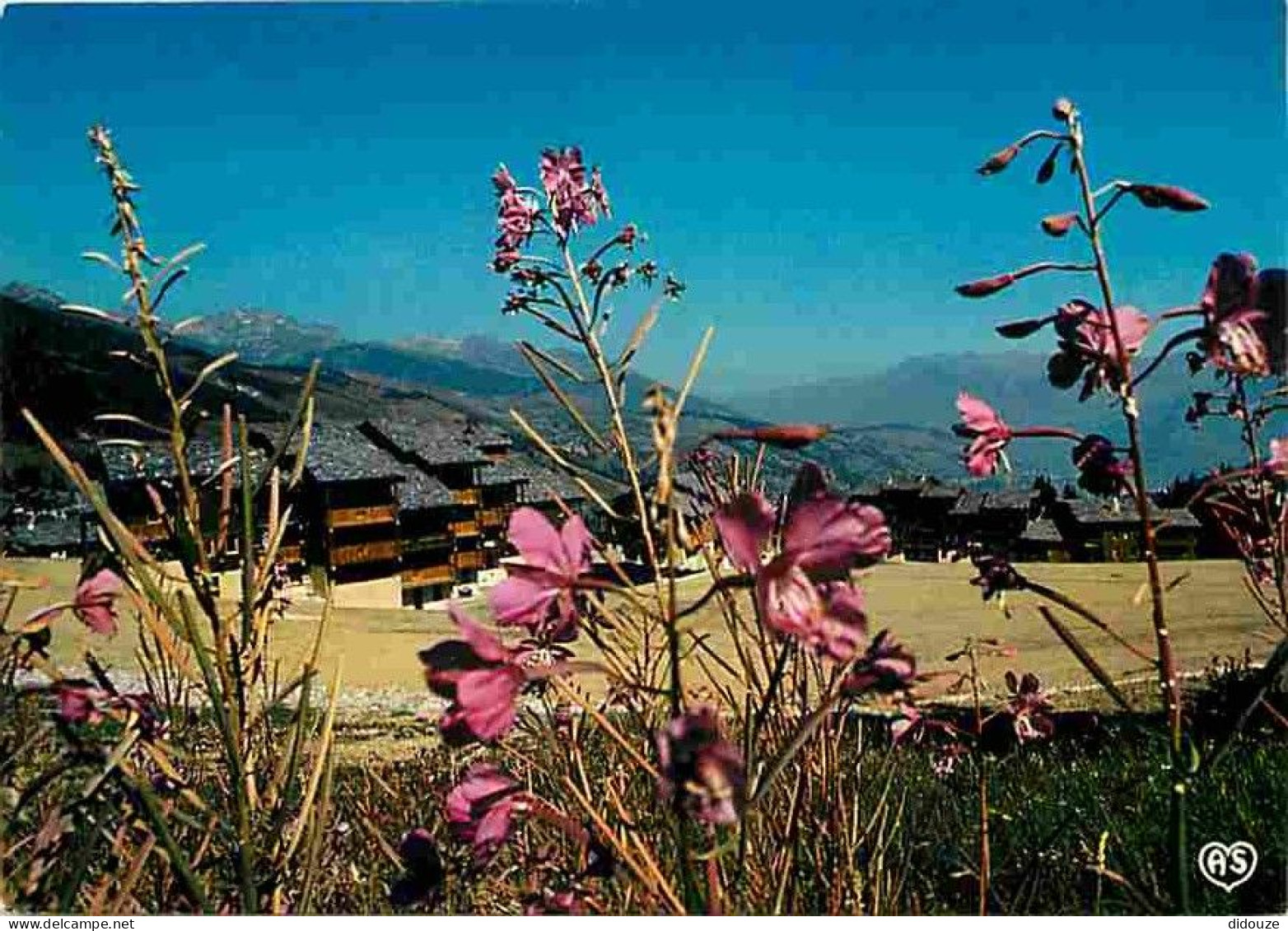 73 - Valmorel - Fleurs Et Soleil Dans La Station - CPM - Voir Scans Recto-Verso - Valmorel