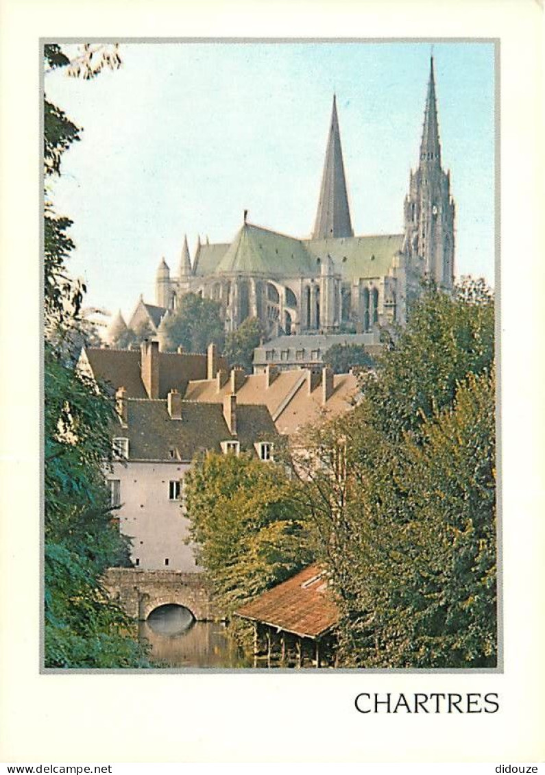 28 - Chartres - La Cathédrale Vue Du Bord De L'Eure - CPM - Voir Scans Recto-Verso - Chartres