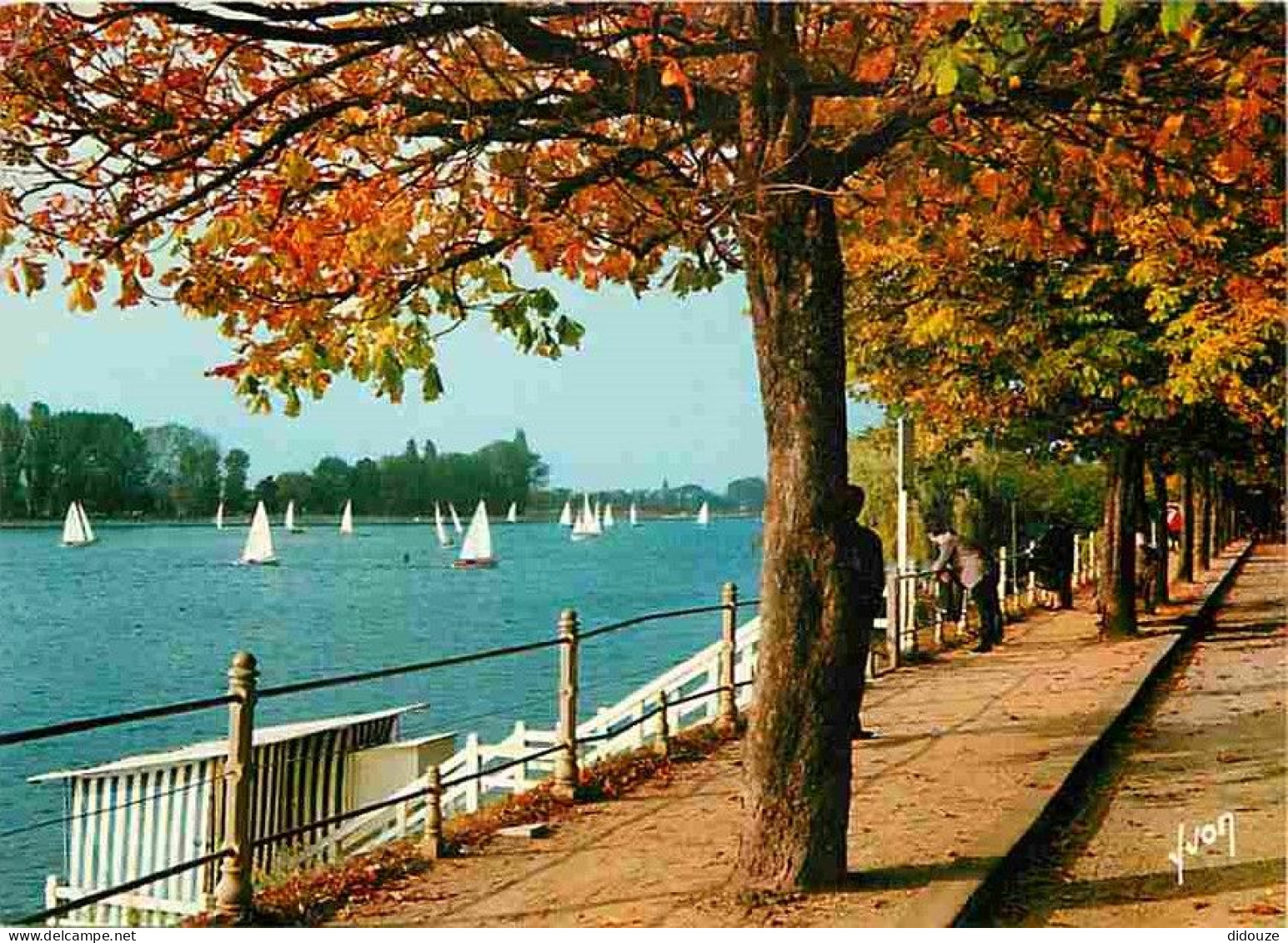 03 - Vichy - La Promenade En Bordure Du Lac D'Allier - Voiles - Flamme Postale - CPM - Voir Scans Recto-Verso - Vichy