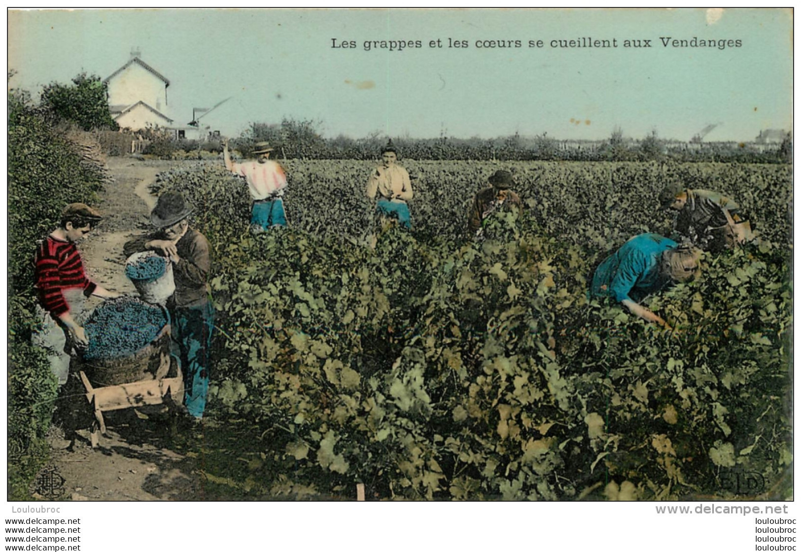 LES GRAPPES ET LES COEURS SE CUEILLENT AUX VENDANGES - Bauern