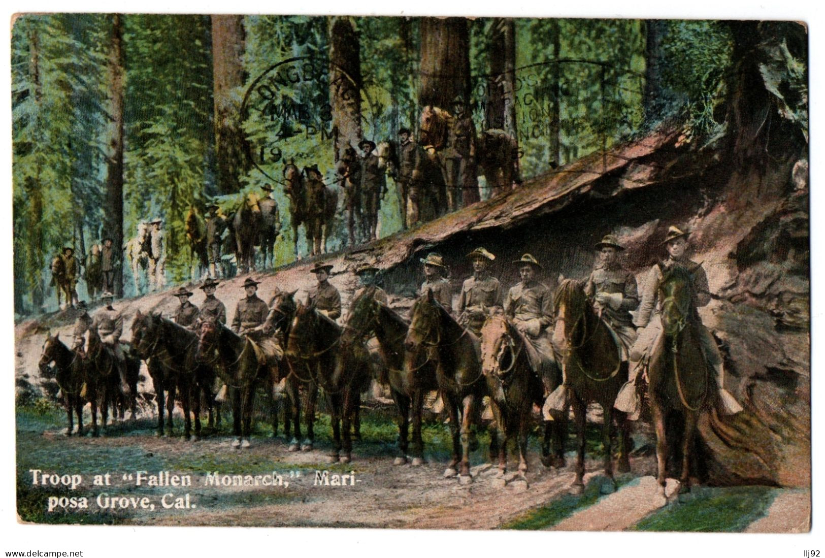 CPA - USA - Troop At "Fallen Monarch", Mariposa Grove, California - Autres & Non Classés
