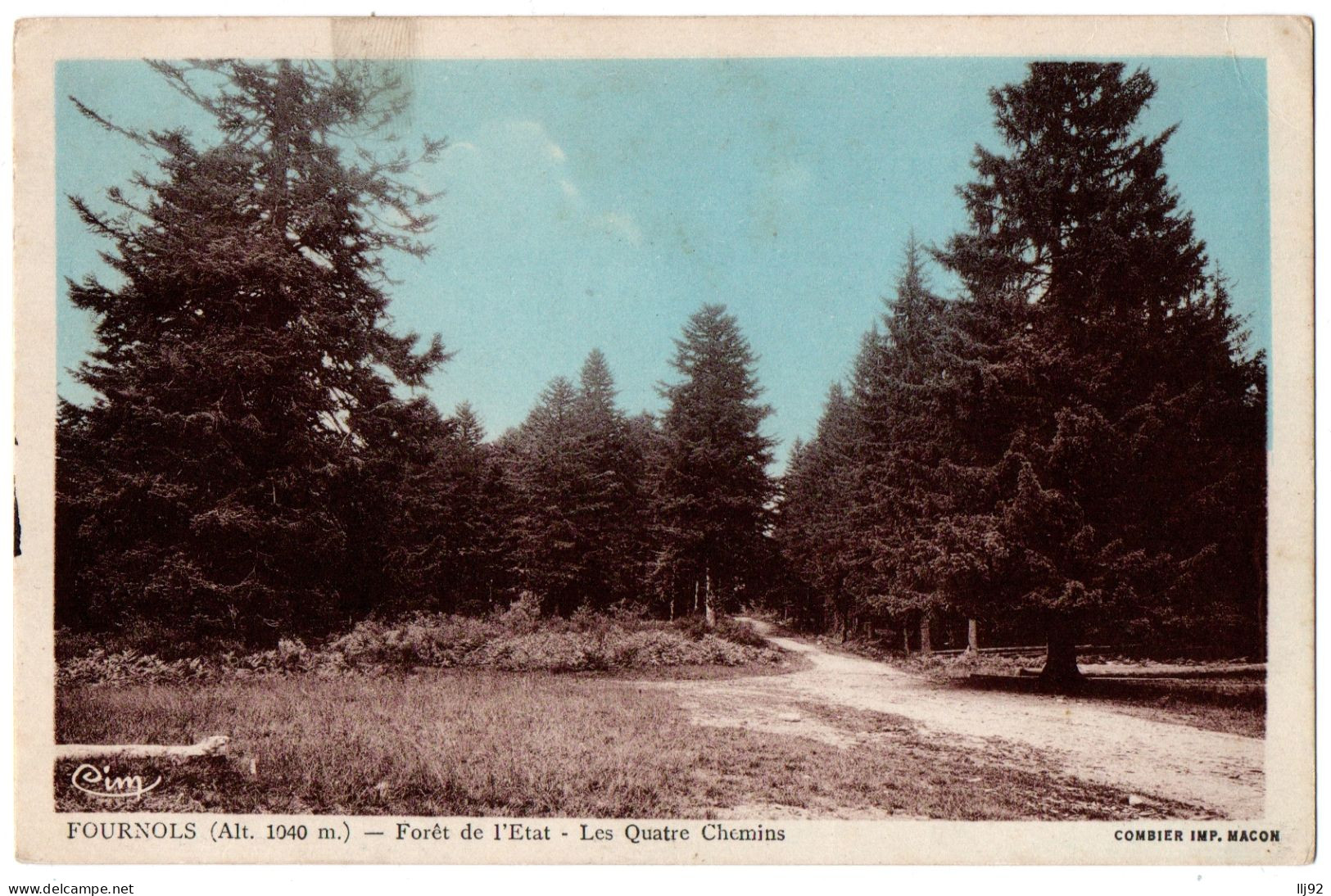 CPA 63 - FOURNOLS (Puy De Dôme) - Forêt De L'Etat - Les Quatre Chemins - Autres & Non Classés