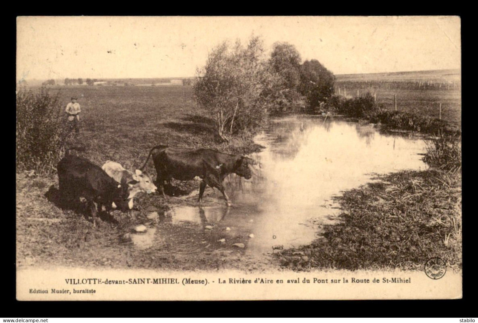 55 - VILLOTTE-DEVANT-ST-MIHIEL - LA RIVIERE D'AIRE SUR LA ROUTE DE ST-MIHIEL - VACHES - EDITEUR MUNIER - Autres & Non Classés