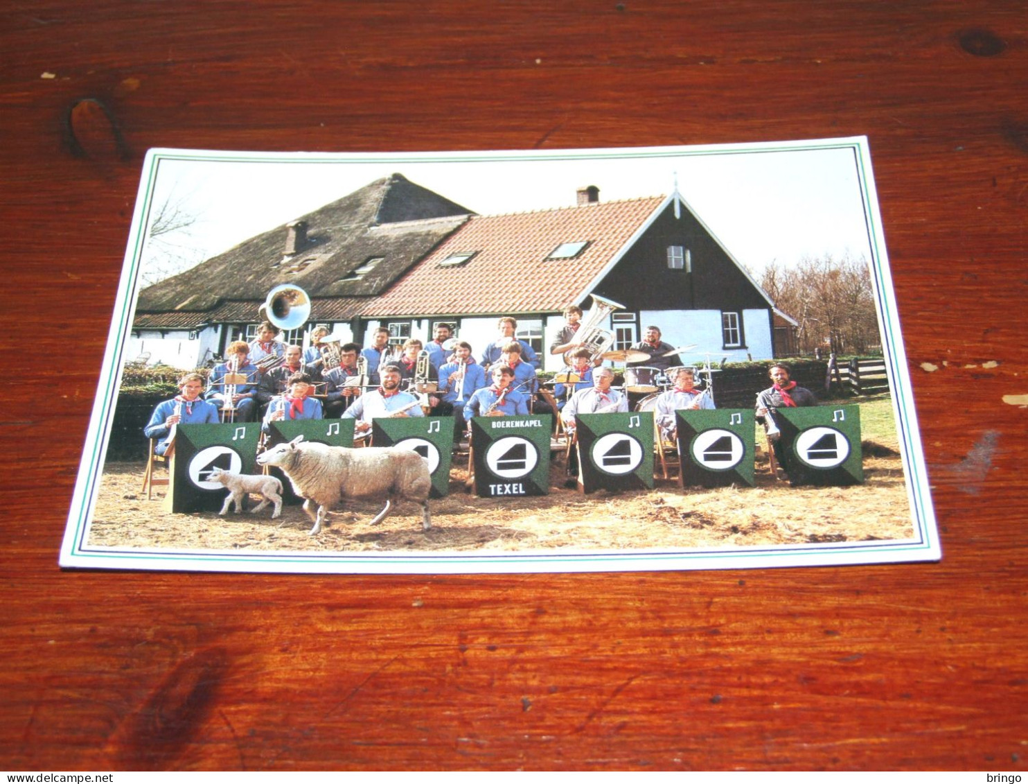 76010-   DE TEXELSE BOERENKAPEL, DEN BURG, TEXEL - Musique Et Musiciens