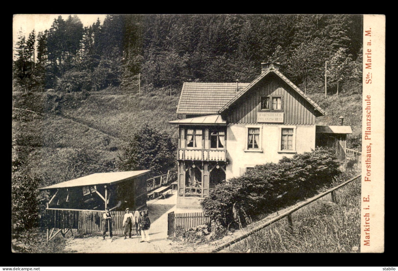 68 - STE-MARIE-AUX-MINES - MARKIRCH - FORSTHAUS PFLANZSCHULE - Sainte-Marie-aux-Mines