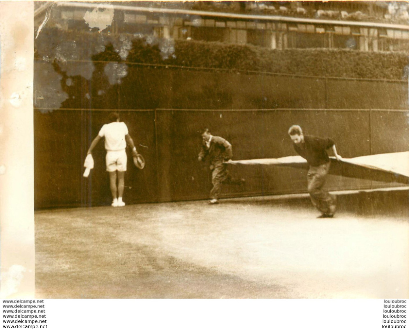 TENNIS 06/1961 WIMBLEDON LE TAPIS CONTRE LA PLUIE PHOTO PRESSE 18X13CM - Deportes