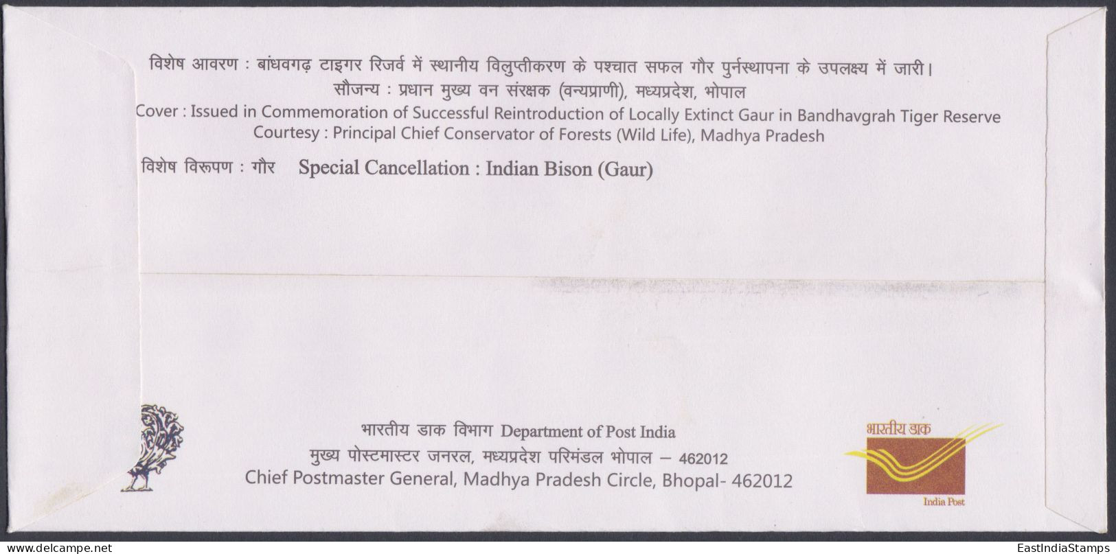 Inde India 2013 Special Cover Gaur Reintroduction, Cattle, Wild Cow, Indian Bison, Pictorial Postmark - Briefe U. Dokumente