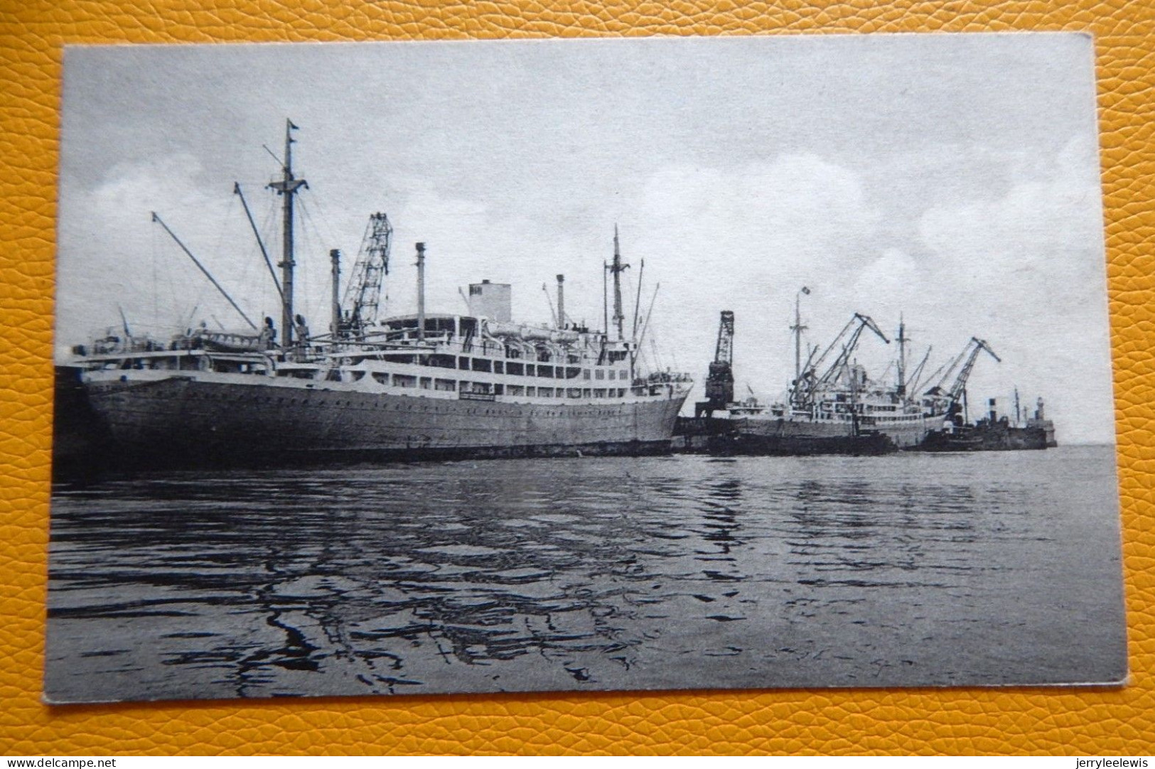 ZEEBRUGGE -  M/V. Elisabethville En Mar Del Plata Langs De Havenmuur - Zeebrugge