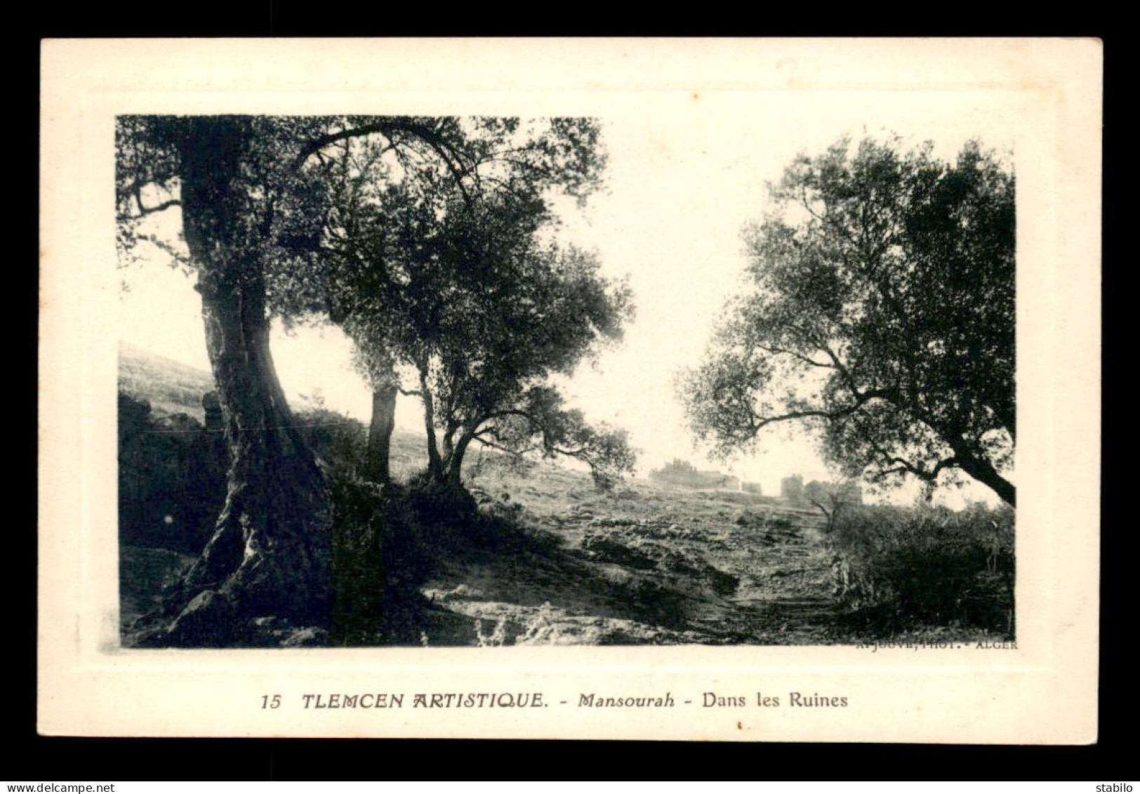 ALGERIE - TLEMCEN - MANSOURAH - DANS LES RUINES - Tlemcen
