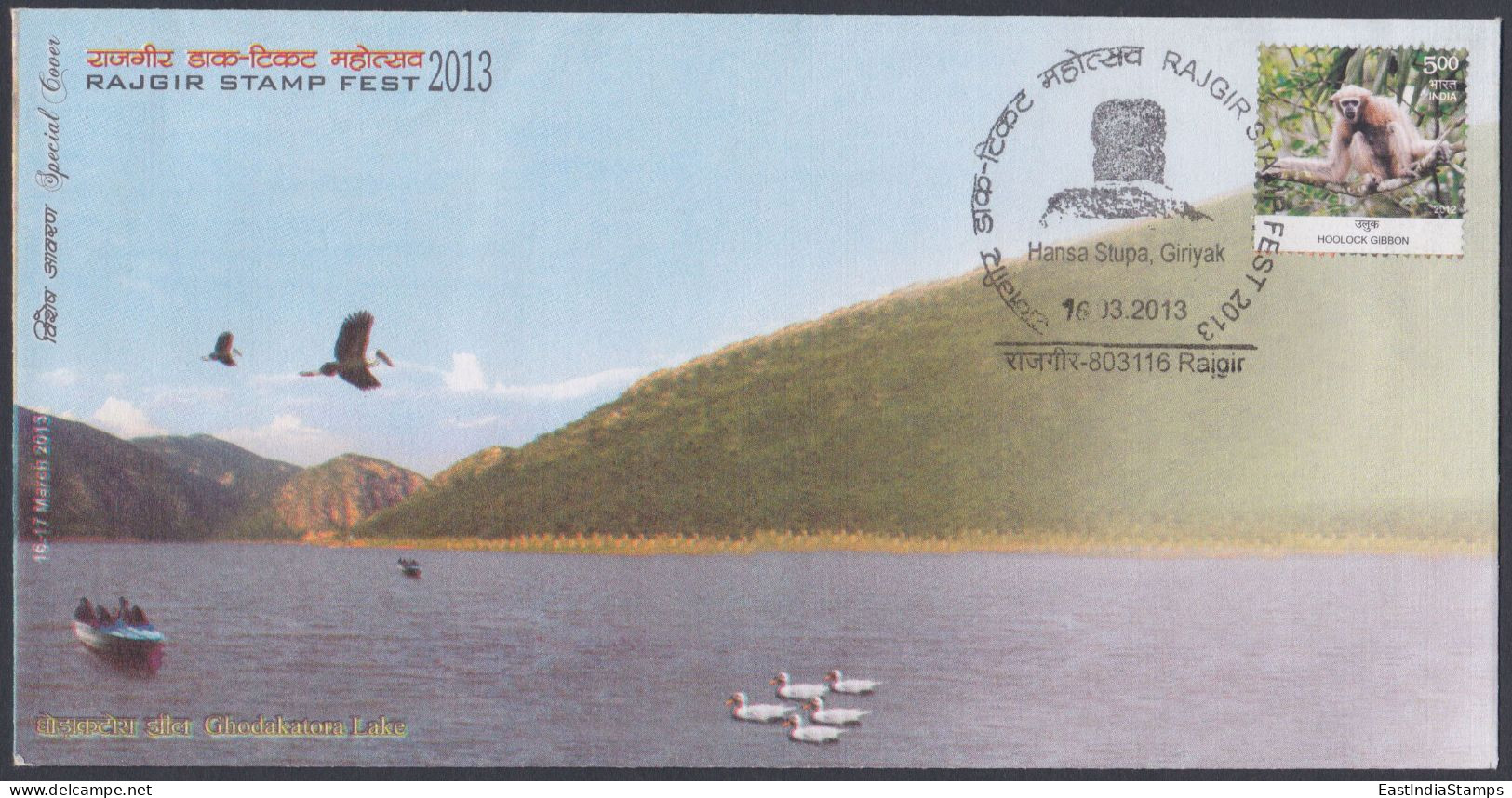 Inde India 2013 Special Cover Ghodakatora Lake, Bird, Birds, Duck, Stork, Pictorial Postmark - Lettres & Documents