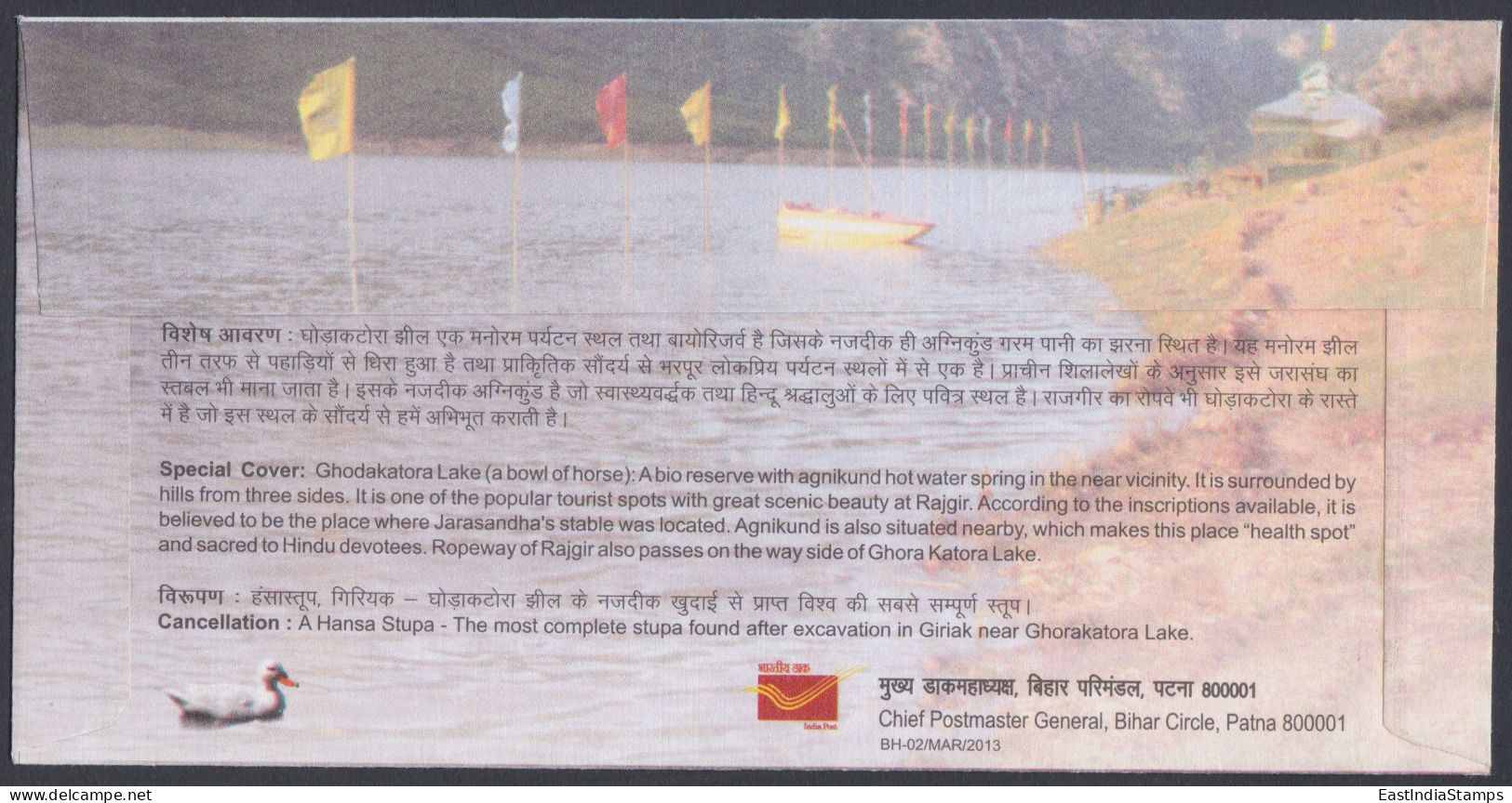 Inde India 2013 Special Cover Ghodakatora Lake, Bird, Birds, Duck, Stork, Pictorial Postmark - Lettres & Documents