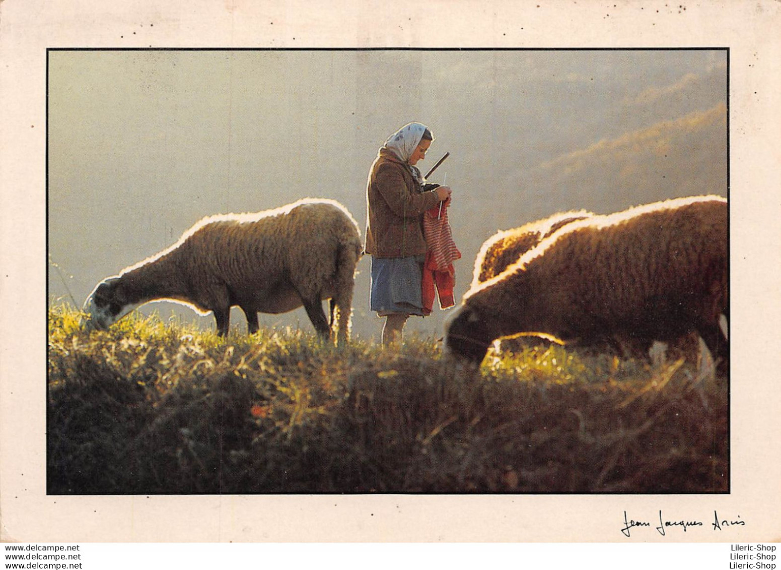 Photographe Jean-Jacques ARCIS - La Gardeuse De Moutons - Altri & Non Classificati