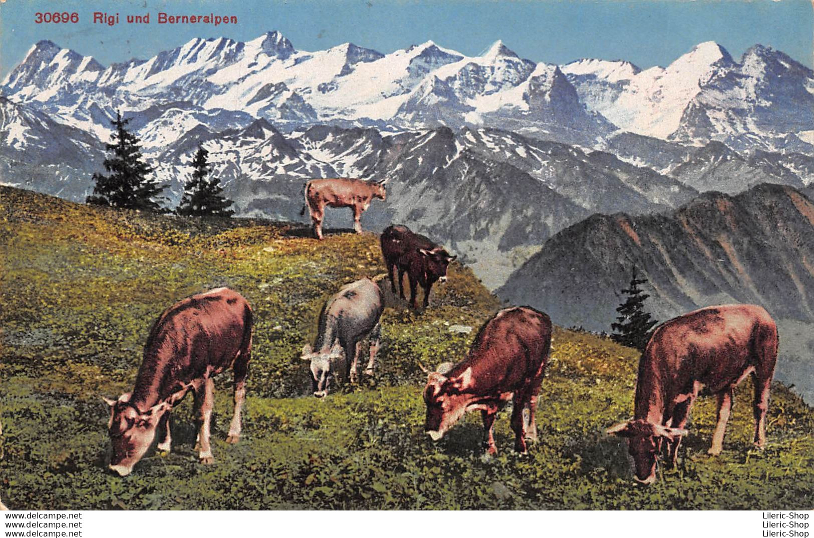 Suisse > LU Lucerne > RIGI UND BERNERALPEN - Troupeau De Vaches Dans Les Alpages - Timbre Français 12 F - Lucerne