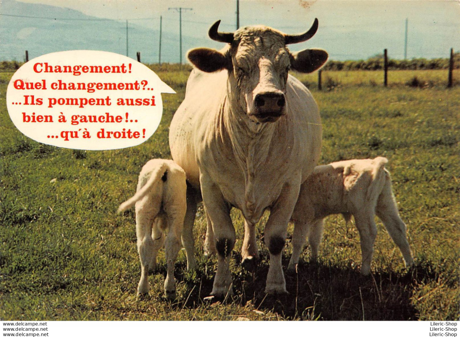 Humour Vaches " Changement ! Quel Changement ?..... " - Kühe