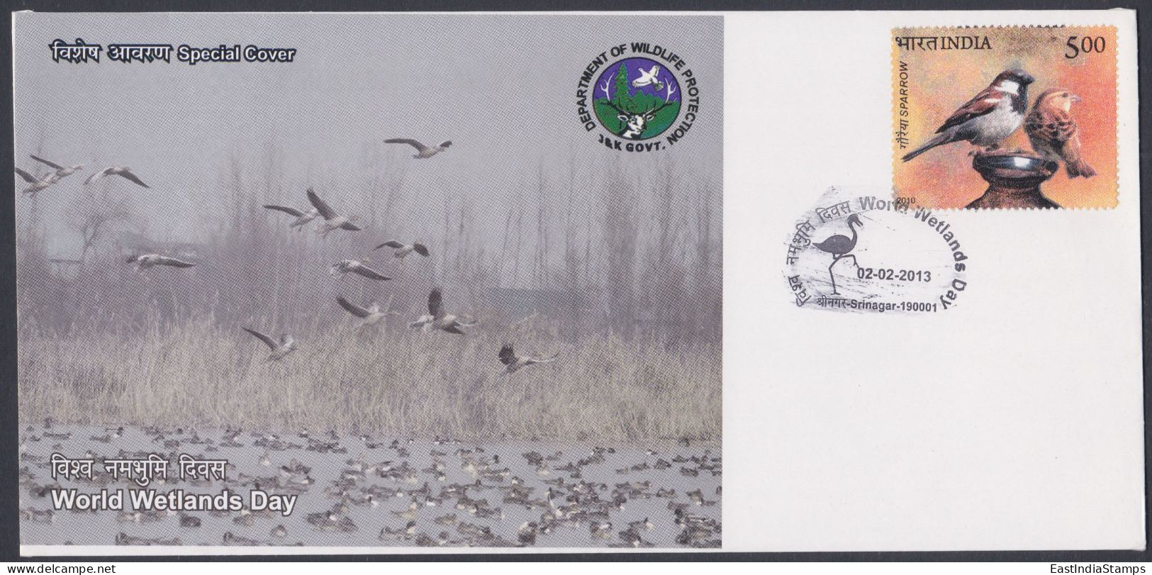 Inde India 2013 Special Cover World Wetlands Day, Wetland, Bird, Birds, Flamingo Pictorial Postmark - Briefe U. Dokumente
