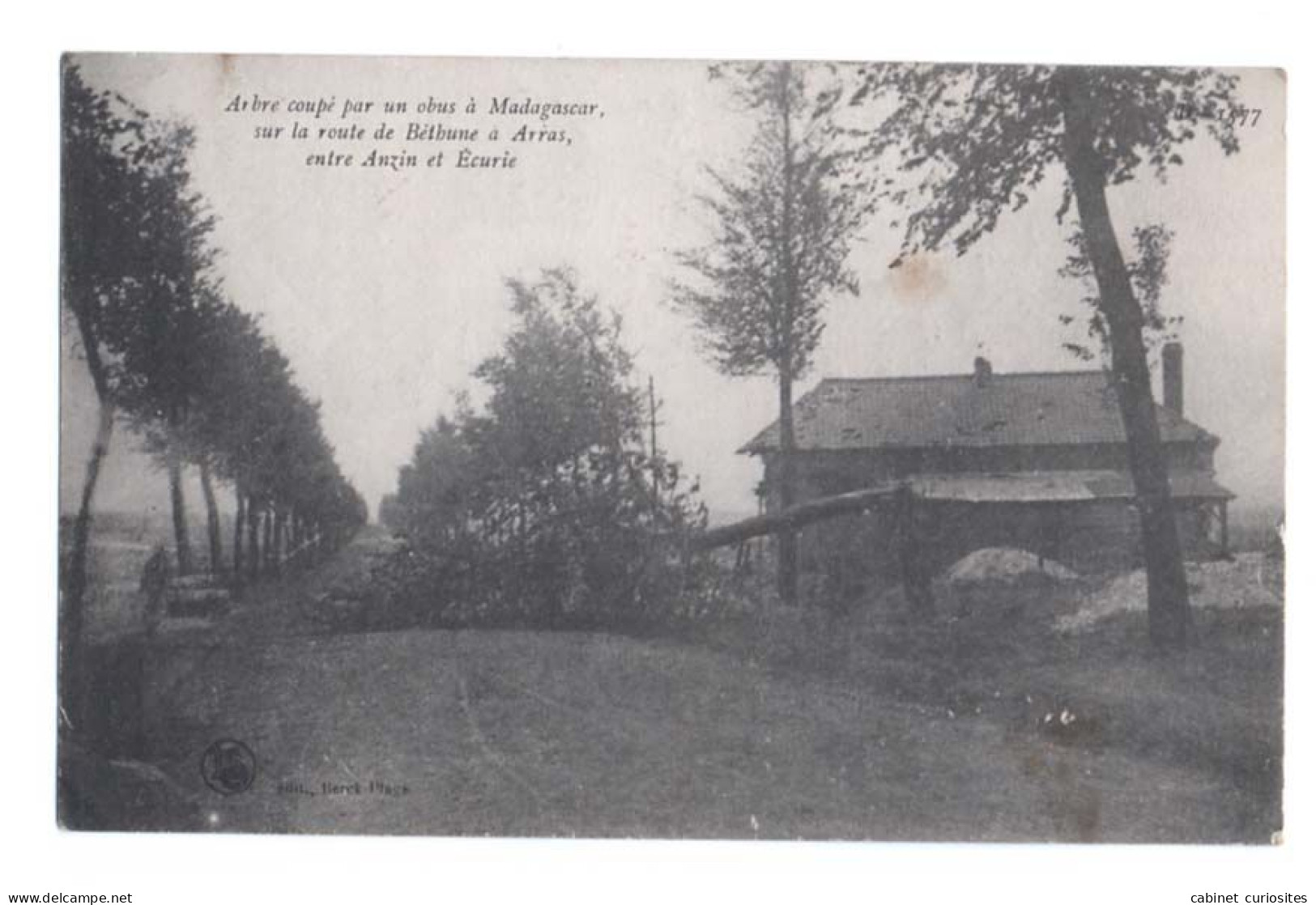 Arbre Coupé Par Un Obus à MADAGASCAR ( 08 LAIFOUR ) Sur La Route De Béthune à Arras Entre Auzin Et Ecurie - Guerra 1914-18