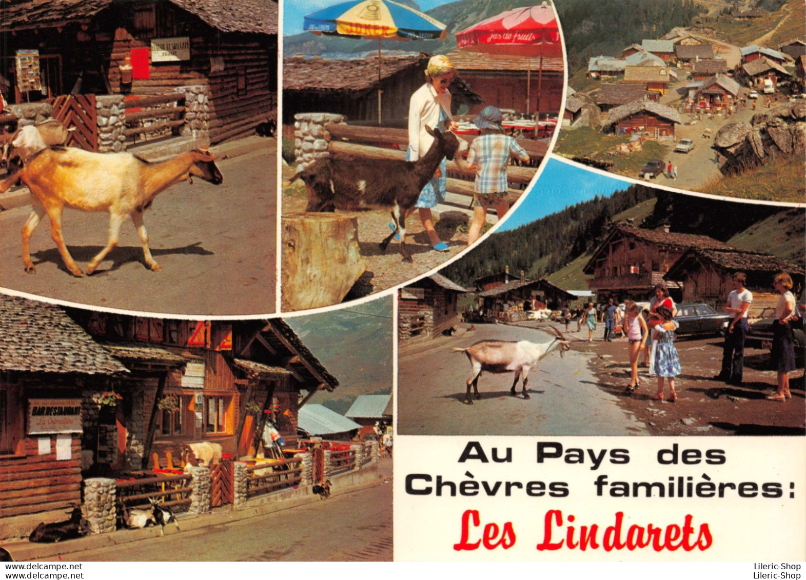 LES LINDARETS Près De MORZINE (Haute-Savoie) Au Pays Des Chèvres Familières Cpm GF - Autres & Non Classés