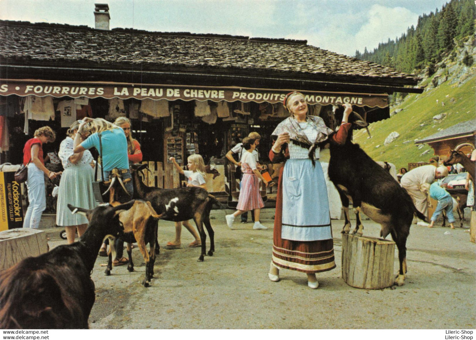 LES LINDARETS Près De MORZINE (Haute-Savoie) Folklore Savoyard - Chèvres Cpm GF - Autres & Non Classés