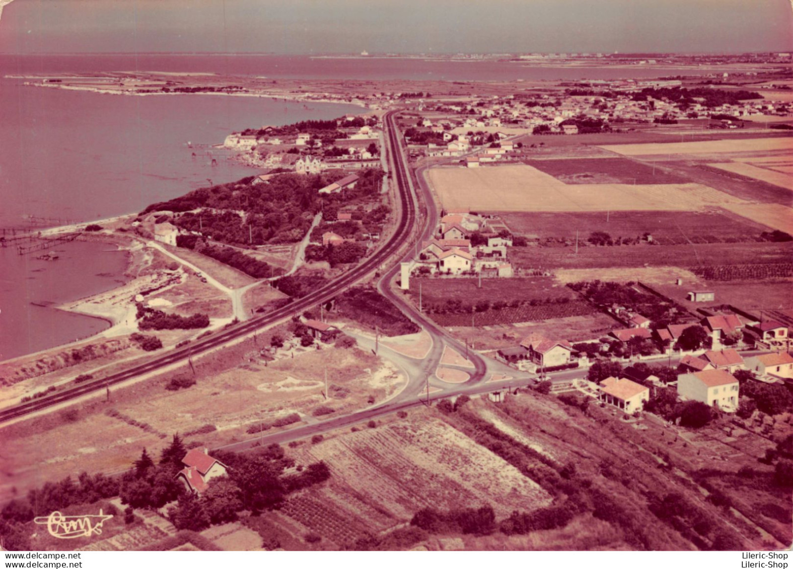 17690 ANGOULINS - Vue Aérienne - Vue Générale De Saint-Jean Des Sables Cpsm Dentelée GF - Angoulins