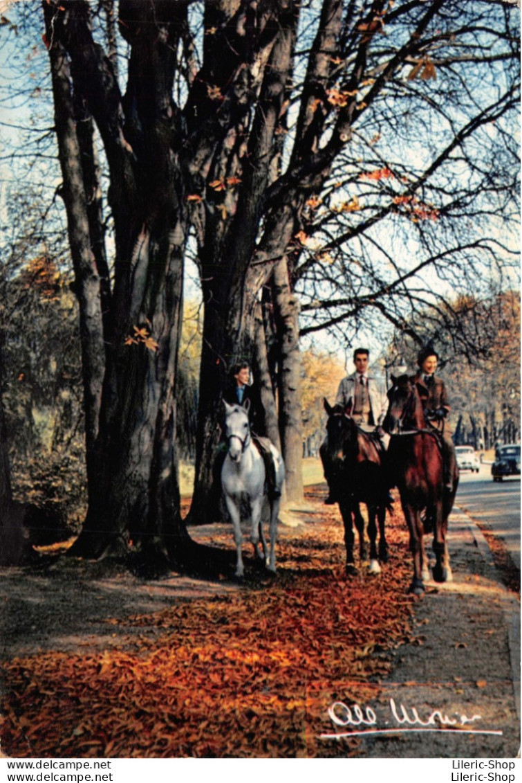 PARIS - Au Bois De Boulogne.  Photographe Albert Monier - Chevaux, Cavaliers, Automne, Photo - Cpsm GF 1966 - Monier