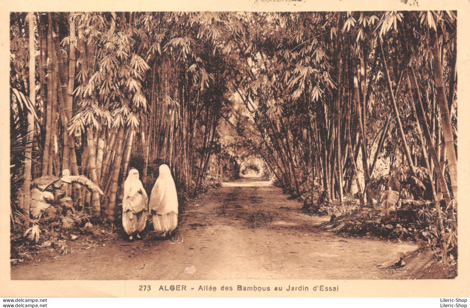 Alger  - Le Jardin D'Essai - Lot De 8 Cpa - Algiers