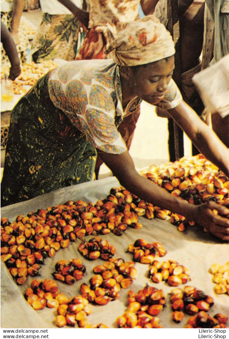 CONGO Pointe-Noire - La Vendeuse De Noix De Palmes - Cpm - Pointe-Noire