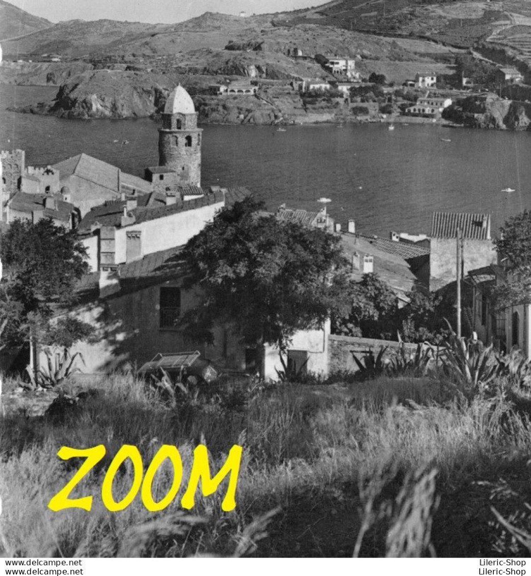 COLLIOURE (P-O.) Vue Panoramique Sur La Rade Et L'entrée Du Port  " Automobile # Cpsm Dentelée PF 1958 - Collioure
