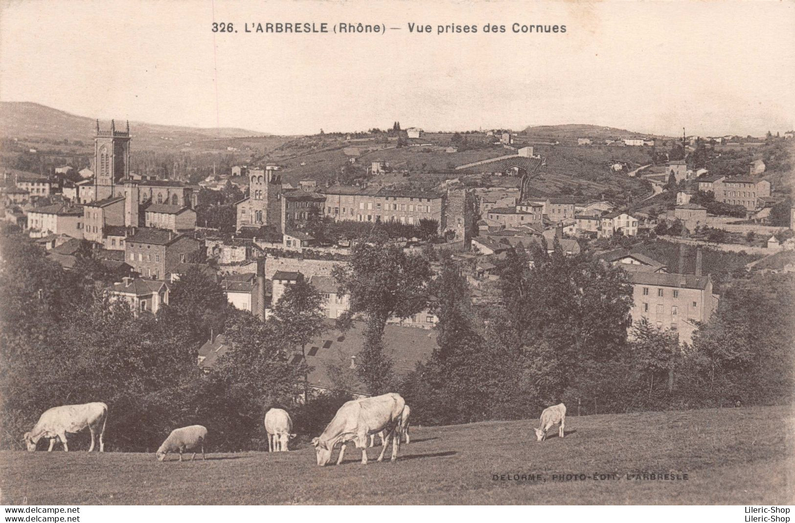L'ARBRESLE (Rhône) - Vue Prises Des Cornues - Vaches Au Pâturage - Cpa 1933 - L'Arbresle