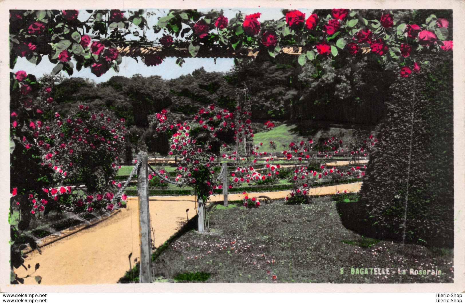 La Roseraie De Bagatelle, Située Dans Le Parc De Bagatelle Au Bois De Boulogne - Cpsm Dentelée PF - Parcs, Jardins