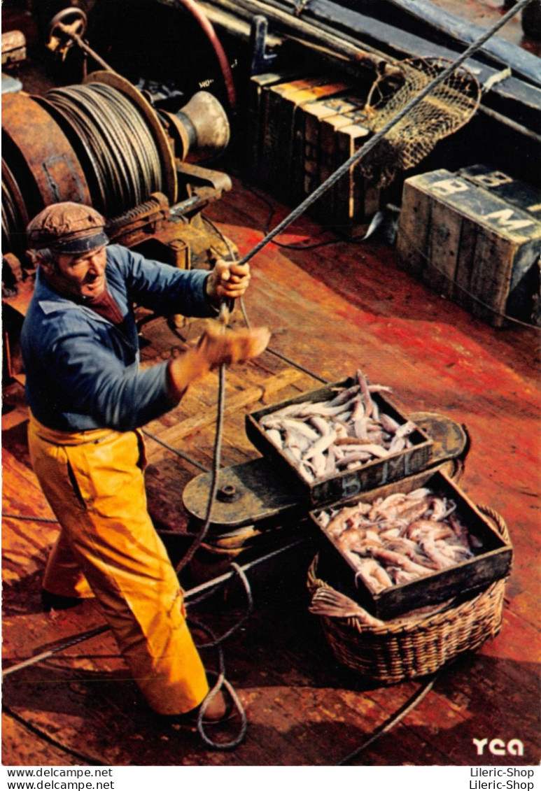 Pêche En BRETAGNE Déchargement De Poissons - Fishing