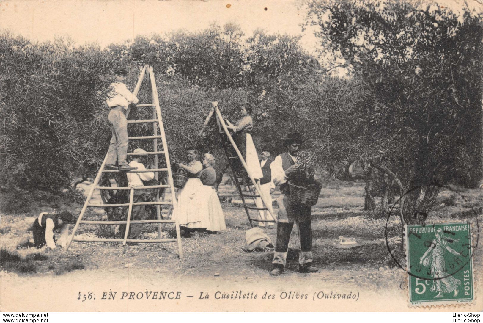AGRICULTURE -  La Cueillette Des Olives En Provence (Oulivado) - Cultures