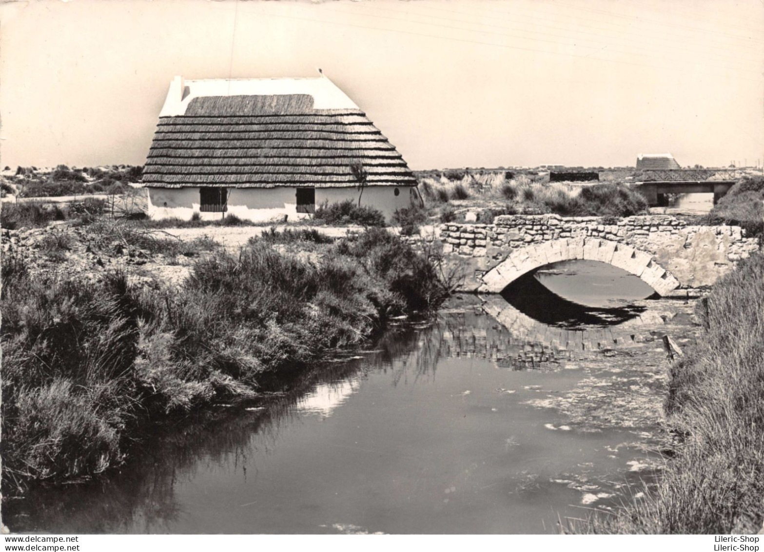 Paysage De Camargue Et Cabane De Gardian - Sonstige & Ohne Zuordnung