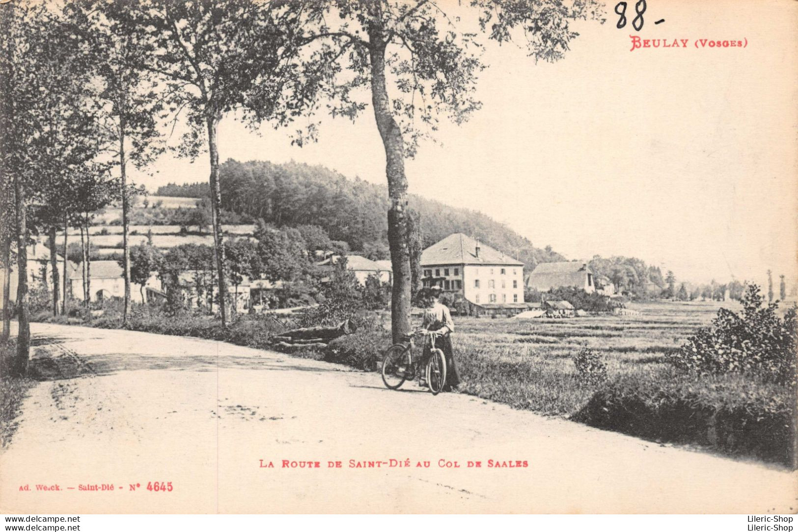 BEULAY (VOSGES) LA ROUTE DE SAINT-DIE AU COL DE SAALES - Autres & Non Classés