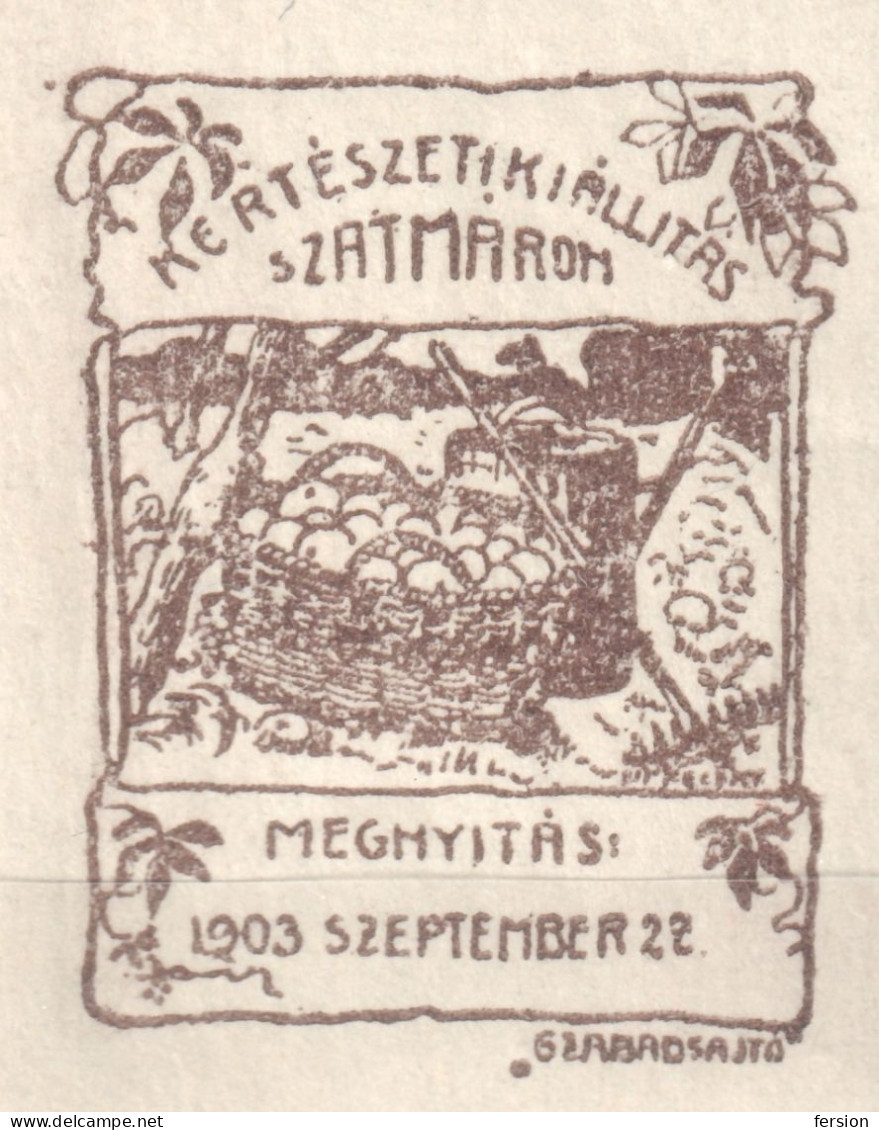 Szatmárnémeti Szatmár Satu Mare ROMANIA HUNGARY 1903 Transylvania Horticultural Exhibition APPLE Fruit AGRICULTURE - Transylvania
