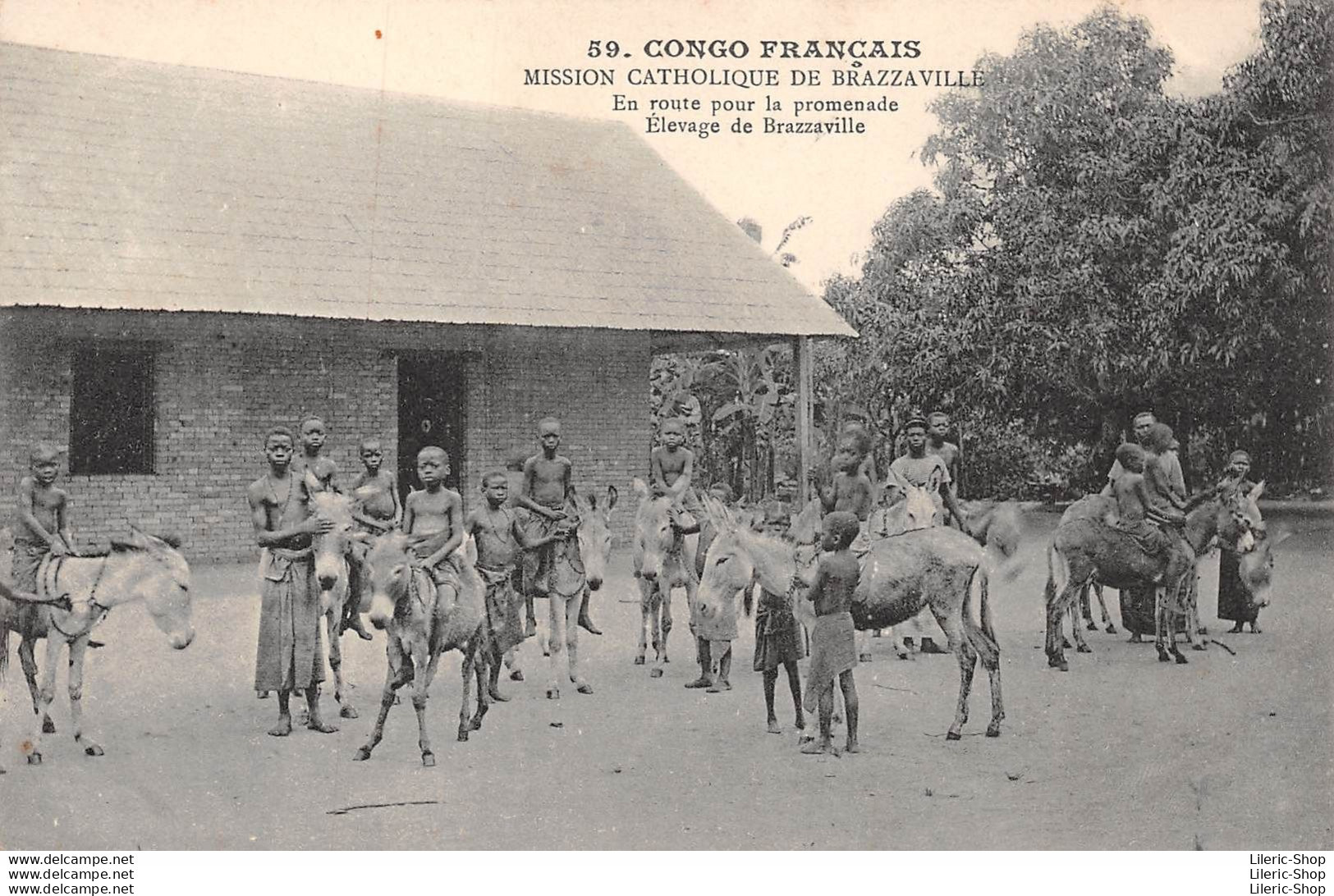 CONGO FRANCAIS - En Route Pour La Promenade Elevage De Mules à Brazzaville - Brazzaville