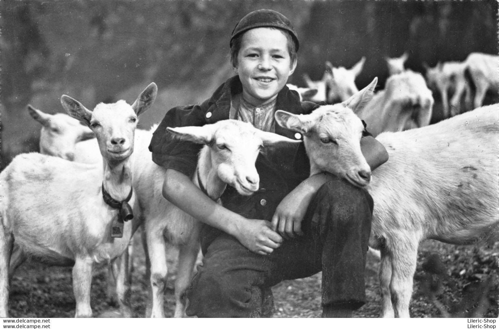 Jeune Chevrier Suisse Entouré De Ses Chèvres Cpsm PF ± 1960 - Viehzucht