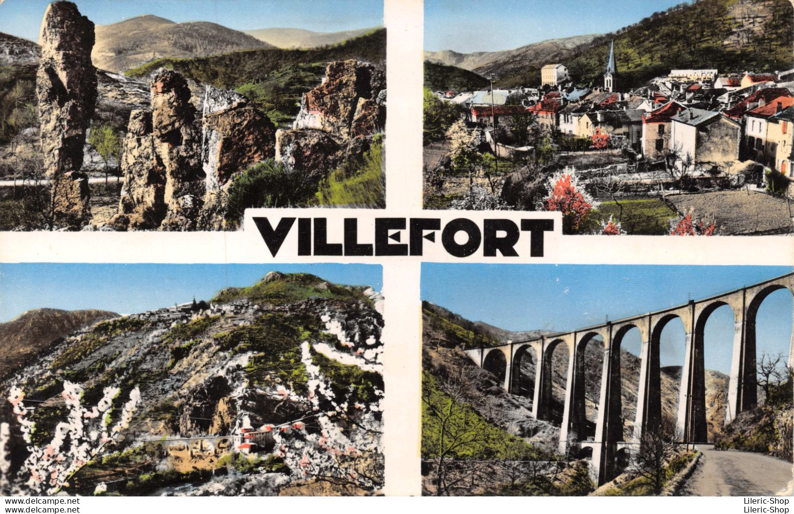 VILLEFORT (48) Multivues Cpsm PF - Villefort