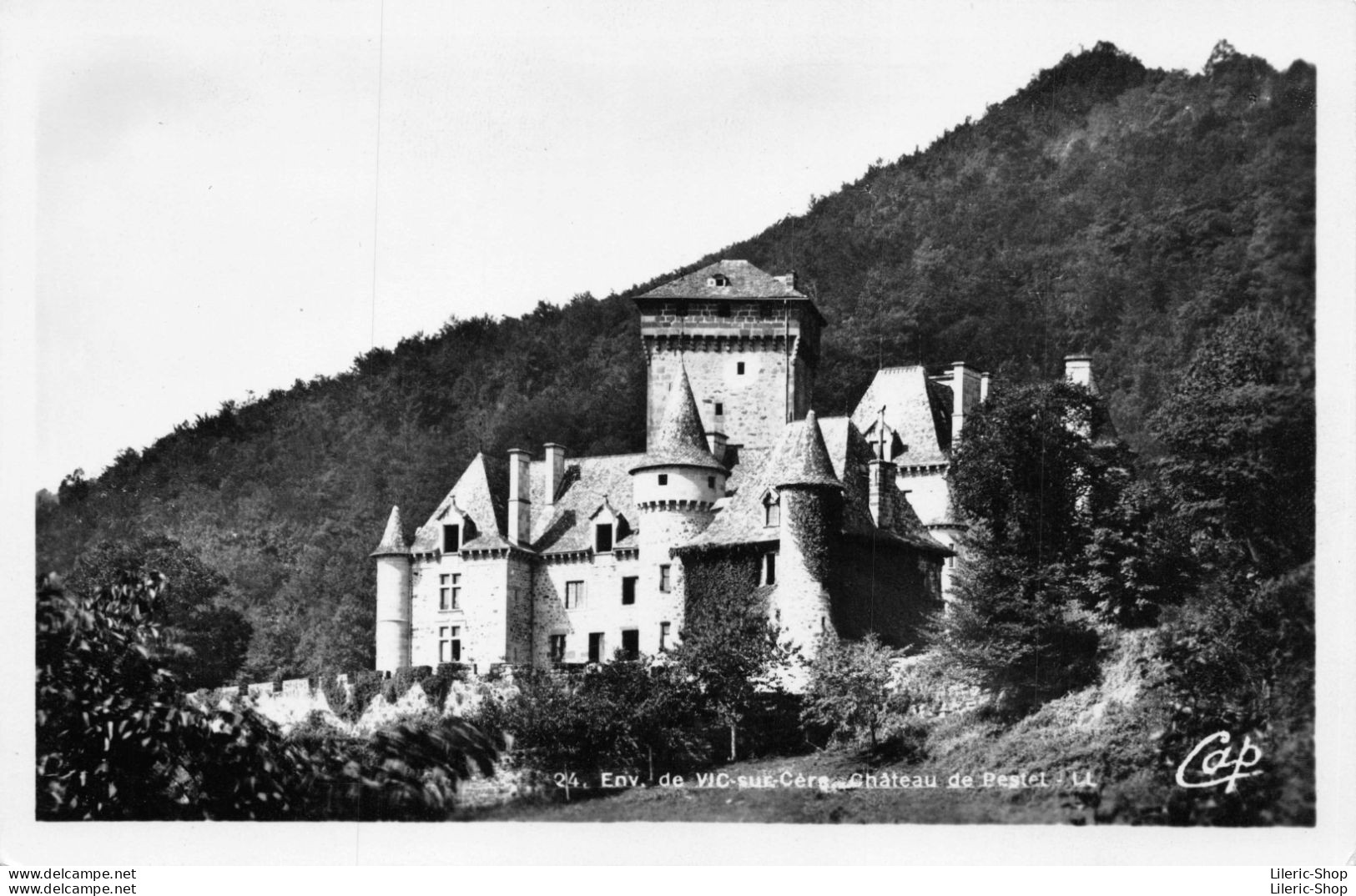 LE CHÂTEAU DE PESTEILS A POLMINHAC, CANTAL - Cpsm PF - Sonstige & Ohne Zuordnung