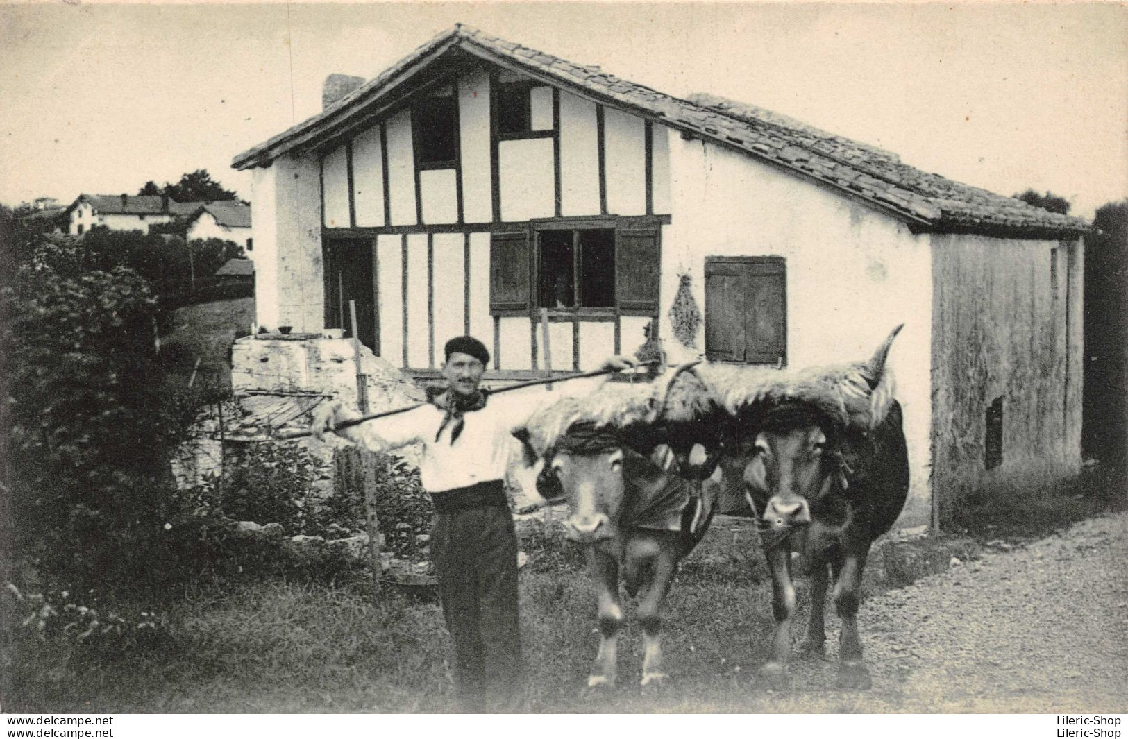 Guéthary (64)  Ferme Basque - Paysan Accompagné D'une Paire De Bœufs # Agriculture #M. D - Bauernhöfe