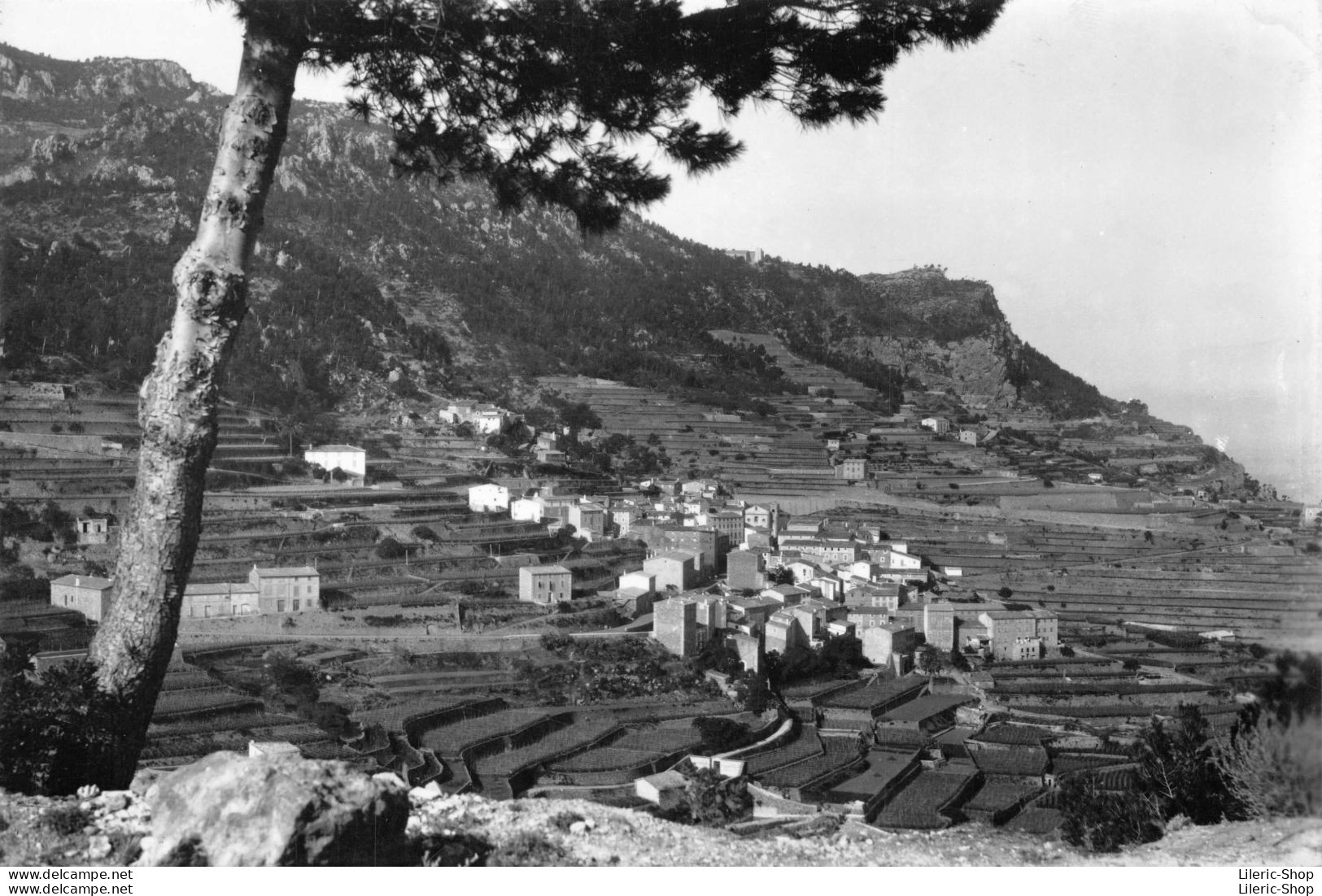 ESPAGNE - MALLORCA Bañialbufar. Vista General  - 1960 - Mallorca
