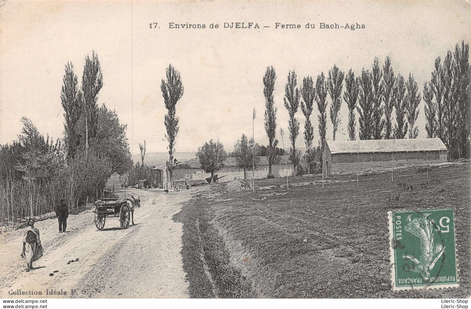 Wilaya De Djelfa - Environs De DJELFA. Ferme Du Bach-Agha - Collection Idéale PS Cpa ± 1920 - Djelfa