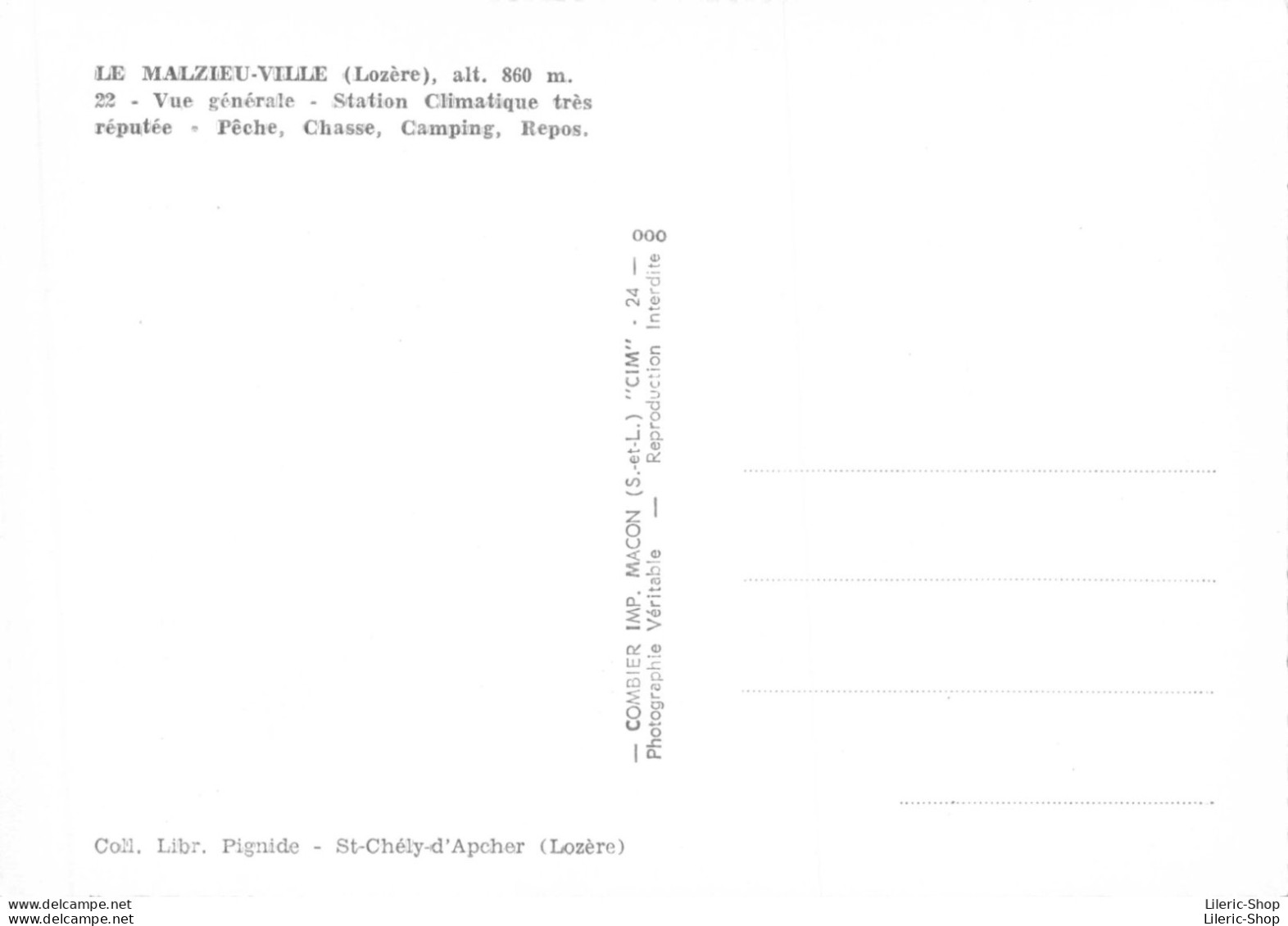 LE MALZIEU-VILLE (Lozère) Vue Générale  -Pêche, Chasse, Camping, Repos.  Coll. Libr. Pignide St-Chély-d'Apcher - Autres & Non Classés