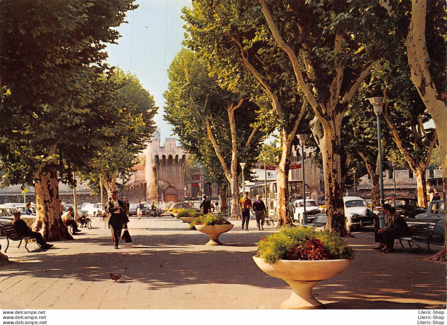 [84] AVIGNON - Cpsm GF- Le Cours Jean Jaurès - 2cv, 403, Autocar - Passenger Cars