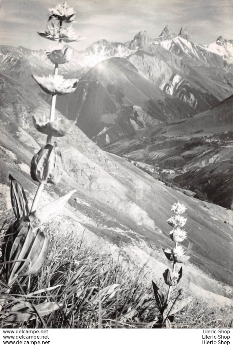 [74] La Haute Vallée Des Arves  Les Aiguilles D'Arves. - Autres & Non Classés