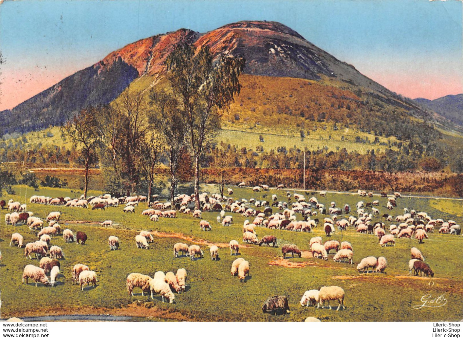 [63] Puy-de-Dôme > L'Auvergne 95 - Pacage De Moutons Au Pied Du Puy-de-Dôme - Autres & Non Classés