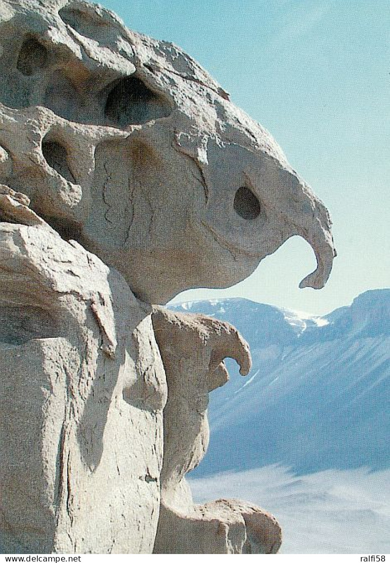 1 AK Antarctica * Wind-carved Piece Of Stone Resembling An Elephant On A Dais In Wright Valley, Transantarctic Mountains - Autres & Non Classés