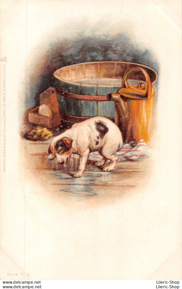 Chien Dog - Raphael Tuck & Fils - Série 7. 2 - Chromolithographie - Chiot Puppy à La Sortie Du Bain - CPR - Tuck, Raphael