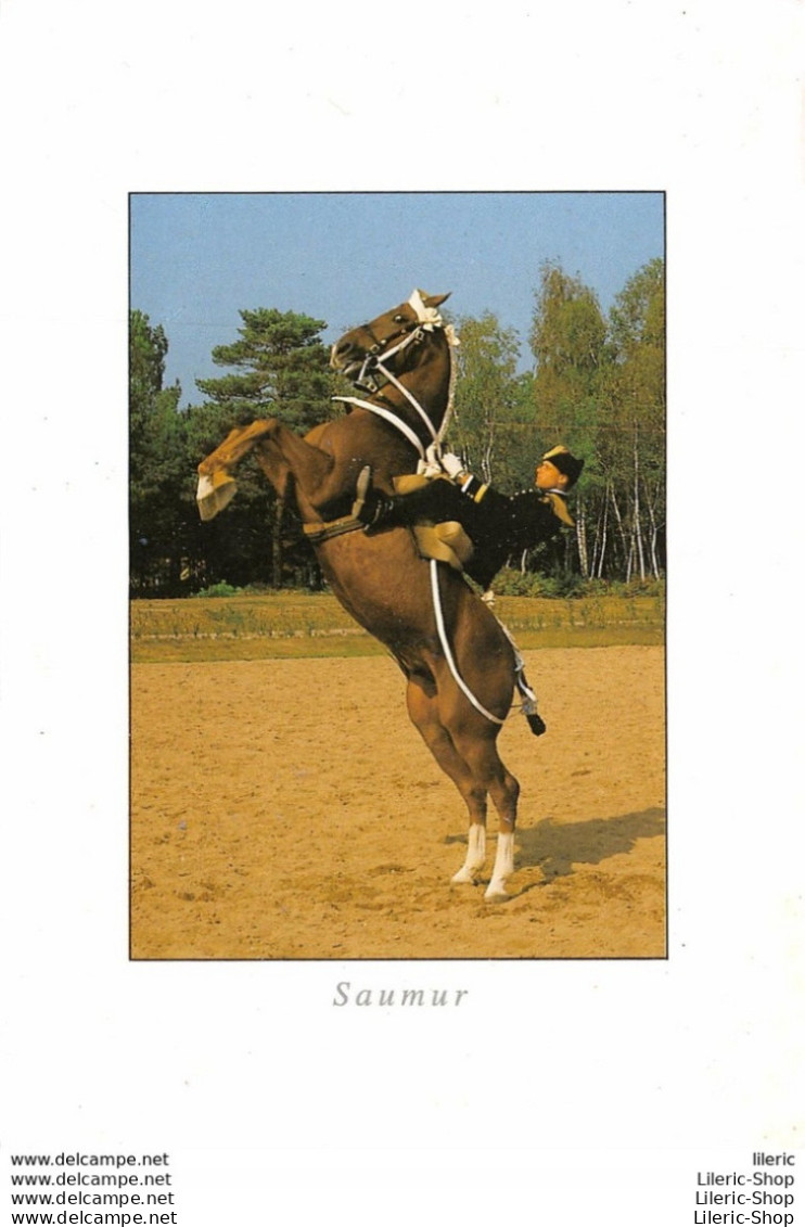 Animaux - Chevaux - Saumur - Ecole Nationale D'Equitation - Le Cadre Noir - Courbette - ÉD.VALOIRE - Paarden