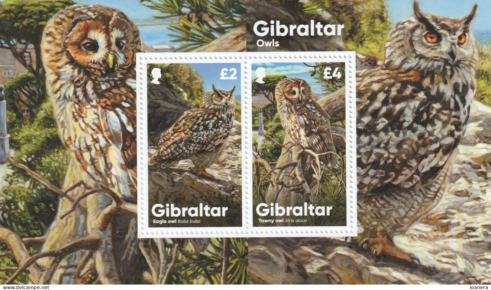 Gibraltar 2020 - Fauna , Burds , Owls , Block-2 Values , Perforated , MNH,Mi. Bl.143 - Gibraltar